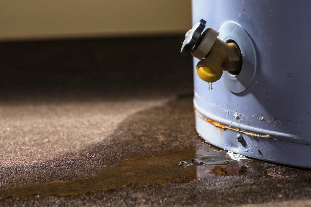 Best Commercial water damage restoration  in Columbia, IL