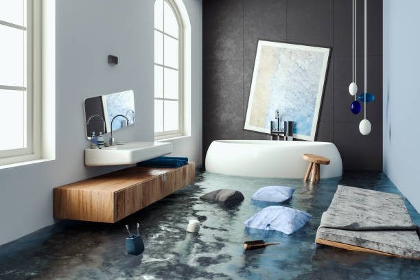 Best Carpet water damage restoration  in Columbia, IL