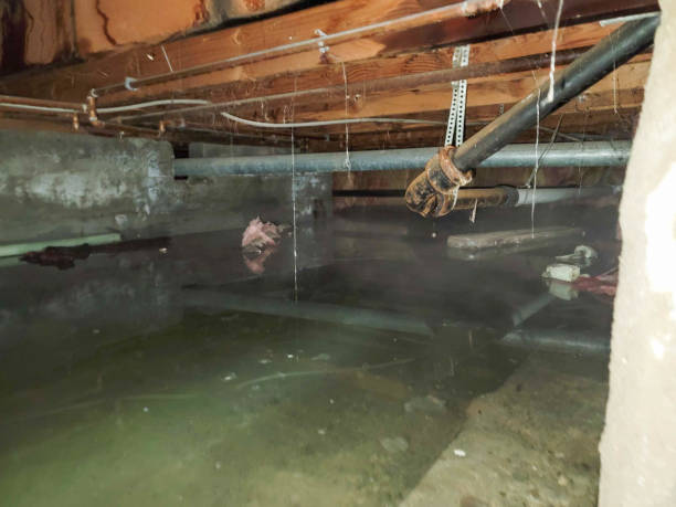 Best 24-hour water damage restoration  in Columbia, IL