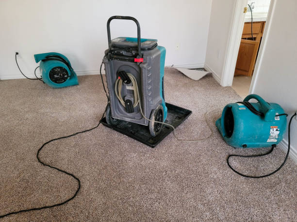 Best Flooded house restoration  in Columbia, IL