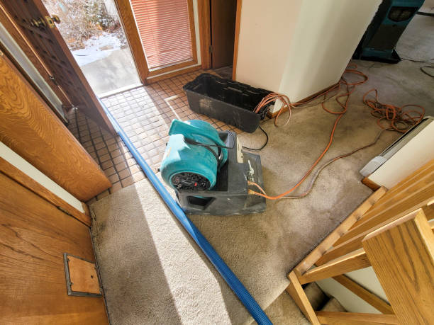 Best Fire Damage Restoration  in Columbia, IL