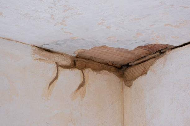 Best Water damage restoration near me  in Columbia, IL