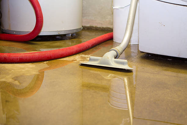 Best Water damage restoration near me  in Columbia, IL