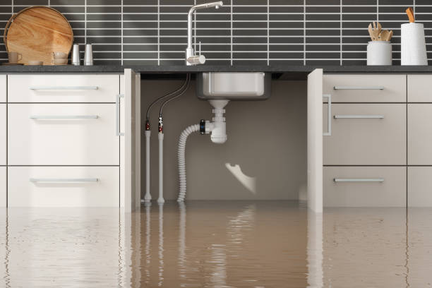 Best Professional water damage repair  in Columbia, IL