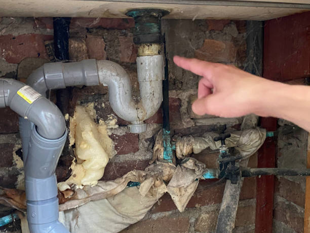 Local water damage restoration in IL